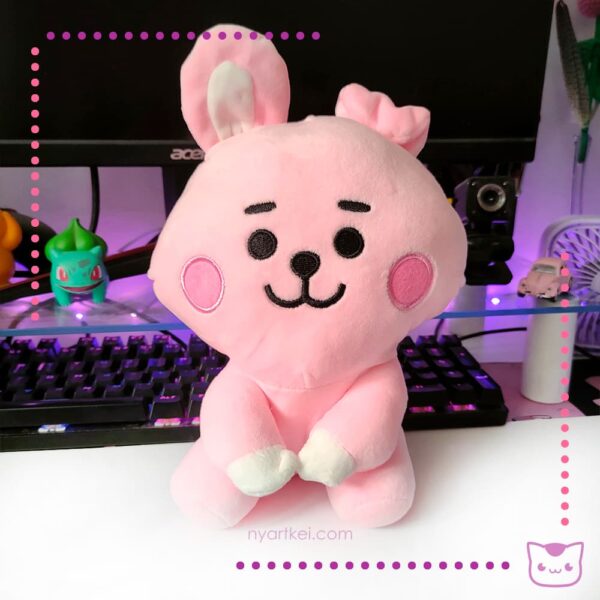 Peluche BTS Cooky